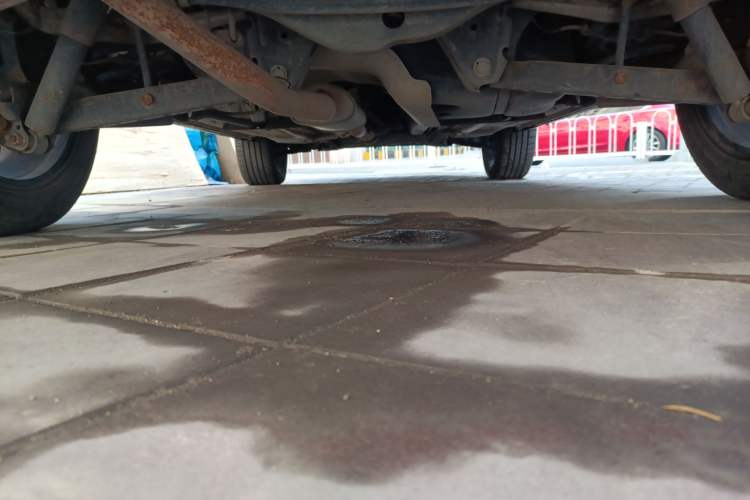 Used Venucia T70X 2015 2.0L CVT SmartFun Sport Edition Chassis Rear