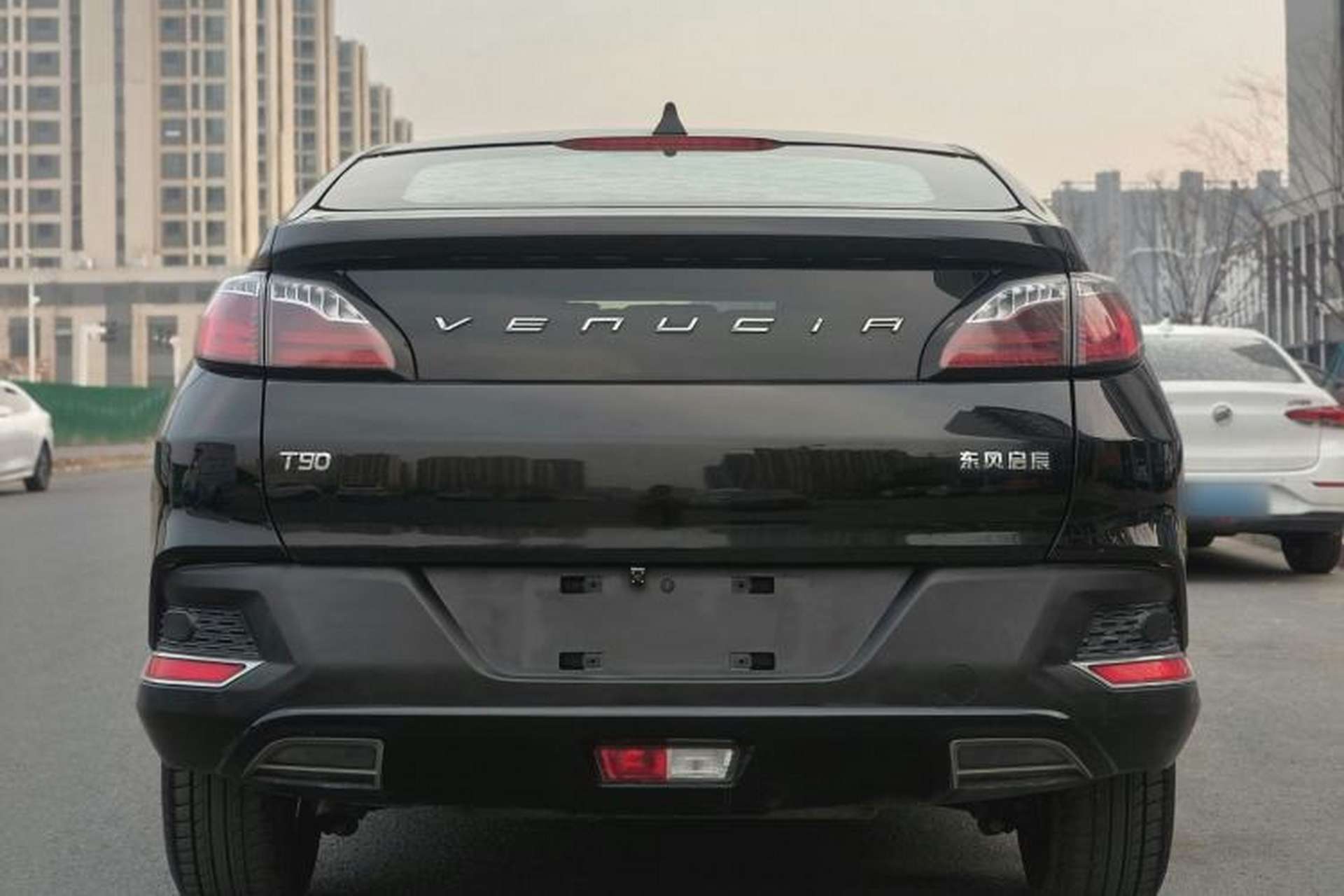 Used Venucia T90 2017 2.0L Manual ChenShang Edition Exterior 6