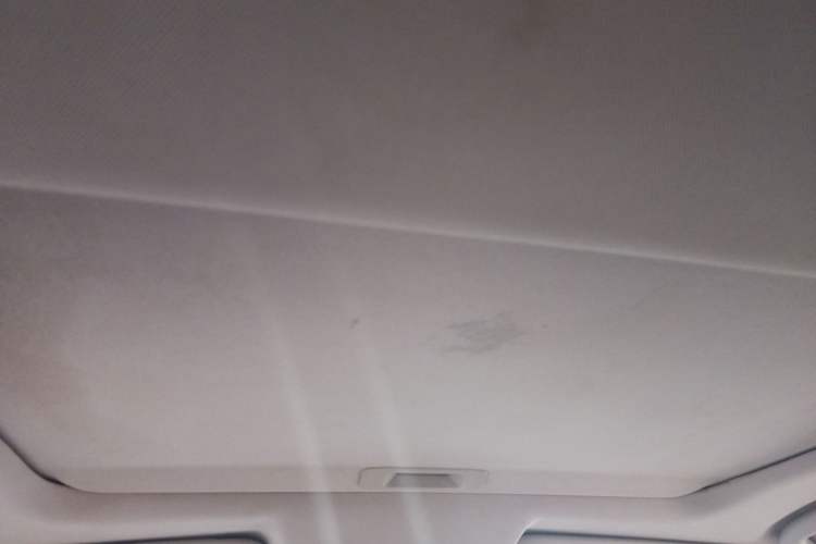 Used Venucia T90 2017 2.0L CVT Smart Edition Headliner