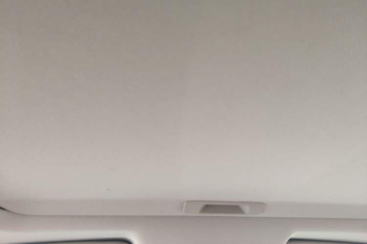 Used Venucia T90 2017 2.0L CVT Smart Edition Headliner
