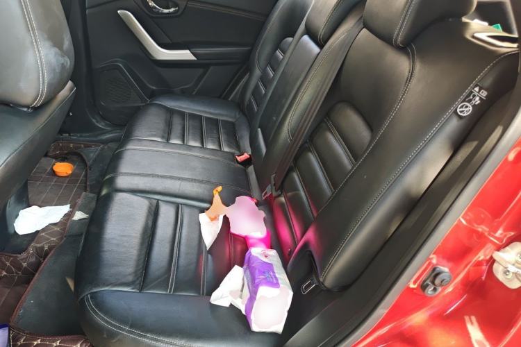 Used Venucia T90 2017 2.0L CVT Smart Edition Left Rear Seat