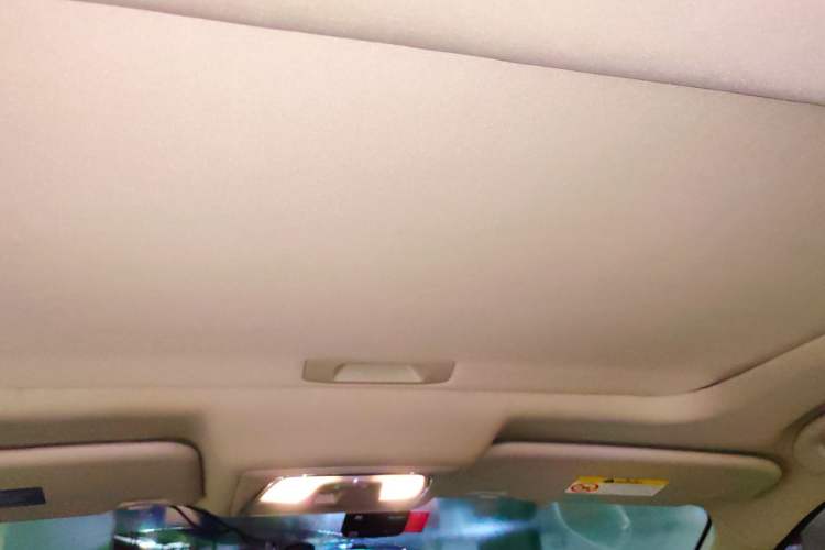 Used Venucia T90 2017 2.0L CVT Smart Edition Headliner