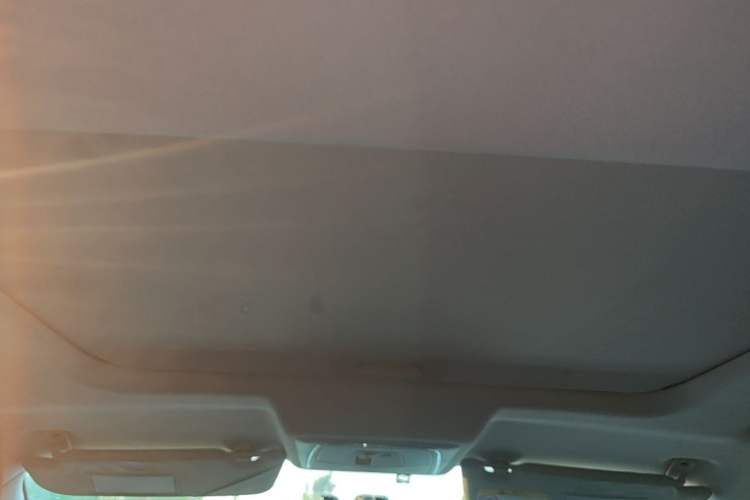 Used Venucia T90 2017 2.0L CVT Smart Edition Headliner