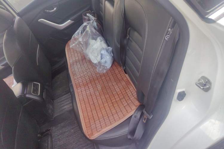 Used Venucia T90 2017 2.0L Manual ZhiShang Edition Left Rear Seat