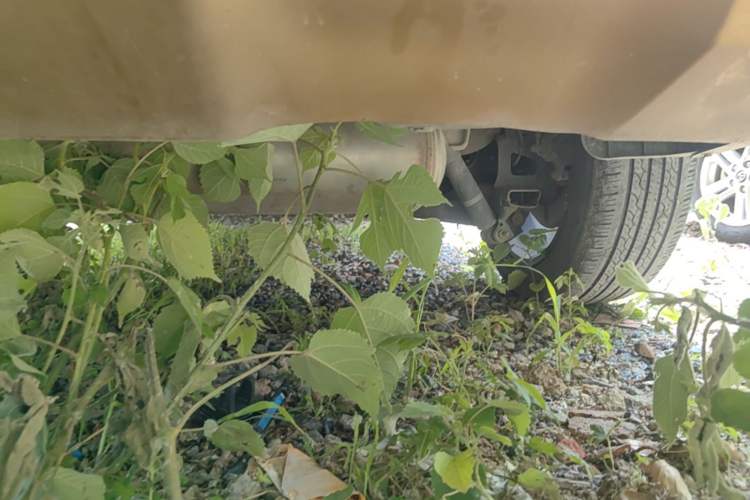 Used Venucia T90 2017 2.0L Manual ZhiShang Edition Chassis Rear Right