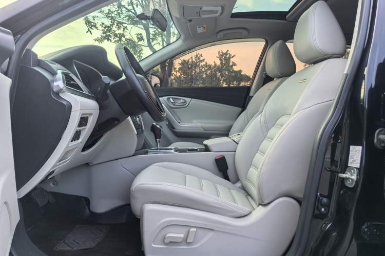 Used Venucia T90 2018 2.0L CVT Smart Connect Luxury Edition China V Standard Interior 1