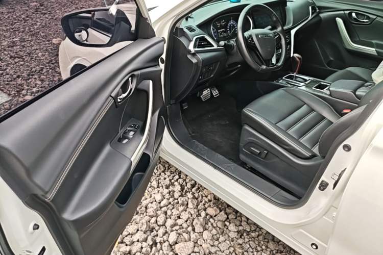 Used Venucia T90 2018 2.0L CVT Smart Connect Luxury Edition China V Standard Driver Seat