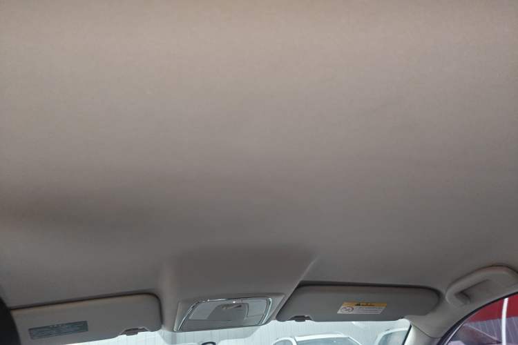 Used Venucia T90 2018 2.0L CVT Smart Connect Fashion Edition China VI Standard Headliner