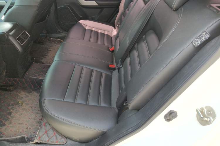 Used Venucia T90 2018 2.0L CVT Smart Connect Luxury Edition China V Standard Interior 1