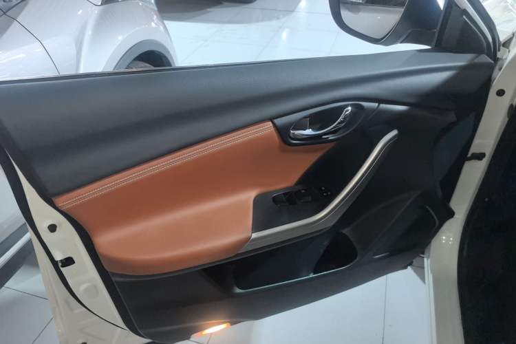 Used Venucia T90 2018 2.0L CVT Smart Connect Luxury Edition China V Standard Left Front Door Interior