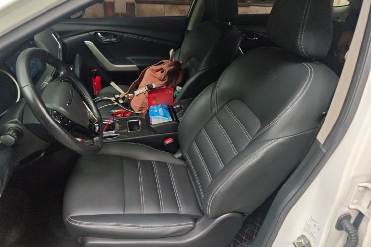 Used Venucia T90 2018 2.0L CVT Smart Connect Luxury Edition China V Standard Left Front Seat