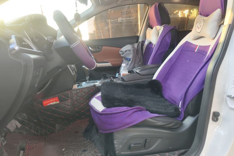 Used Venucia T90 2018 2.0L CVT Smart Connect Prestige Version China VI Standard Left Front Seat