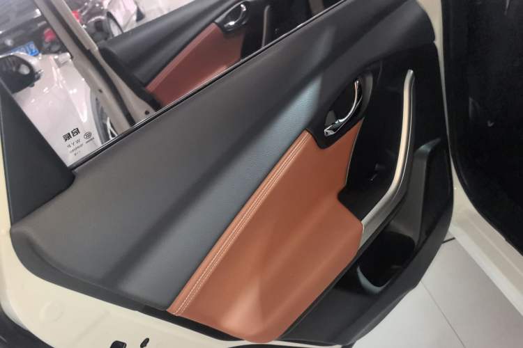 Used Venucia T90 2018 2.0L CVT Smart Connect Luxury Edition China V Standard Left Rear Door Interior