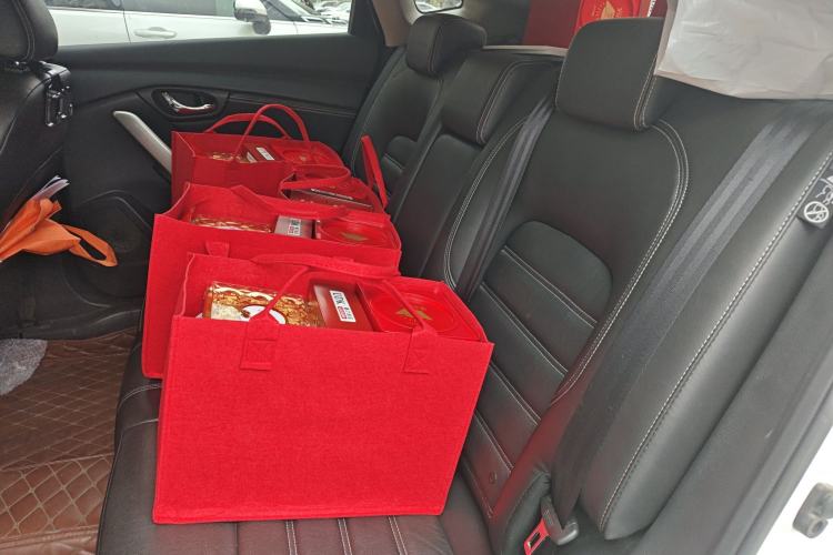Used Venucia T90 2018 2.0L CVT Smart Connect Luxury Edition China V Standard Left Rear Seat