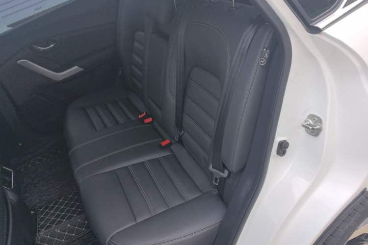 Used Venucia T90 2018 2.0L CVT Smart Connect Luxury Edition China V Standard Left Rear Seat