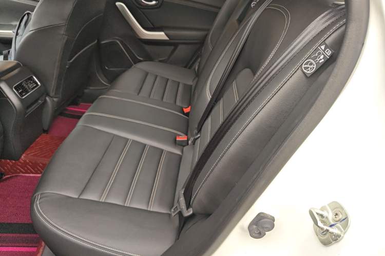 Used Venucia T90 2018 2.0L CVT Smart Connect Luxury Edition China V Standard Left Rear Seat