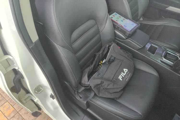 Used Venucia T90 2018 2.0L CVT Smart Connect Luxury Edition China V Standard Right Front Seat