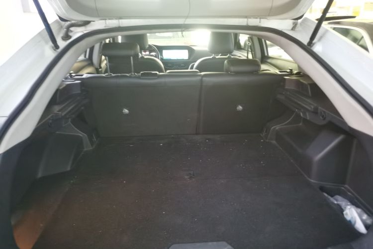 Used Venucia T90 2018 2.0L CVT Smart Connect Luxury Edition China V Standard Trunk