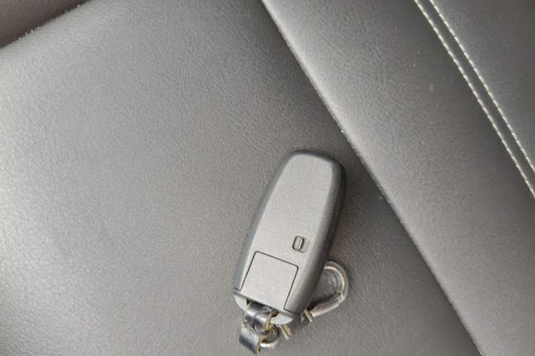 Used Venucia T90 2018 2.0L CVT Smart Connect Luxury Edition China V Standard Vehicle Key