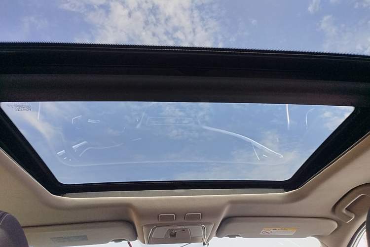 Used Venucia T90 2020 2.0L CVT Smart Connect & Smooth Drive Edition Headliner