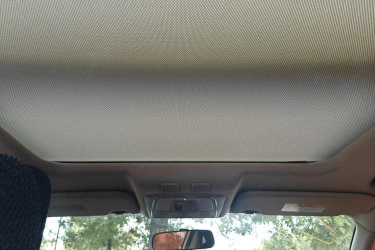 Used Venucia T90 2020 2.0L CVT Smart Connect & Smooth Drive Edition Headliner