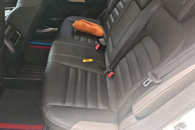 Used Venucia T90 2020 2.0L CVT Smart Connect & Smooth Drive Edition Left Rear Seat