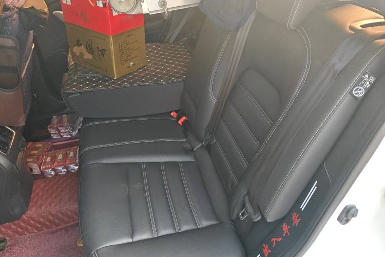 Used Venucia T90 2020 2.0L CVT Smart Connect & Smooth Drive Edition Left Rear Seat
