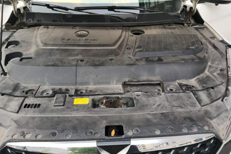 Used Venucia T90 2021 260T Mild Hybrid Automatic Smart Connect & Drive Edition Engine Bay