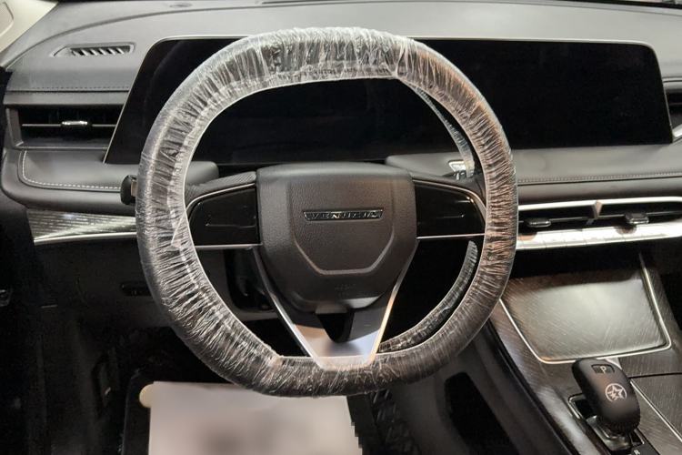 Used Venucia V 2022 260T Black Horse Edition · Idol Steering Wheel