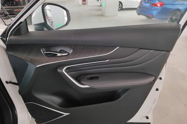 Used Venucia V 2023 260T Idol Edition Pro Right Front Door Interior