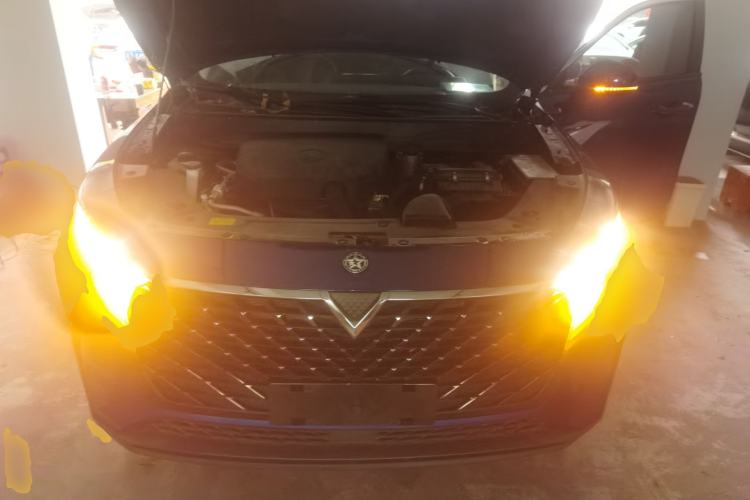 Used Venucia V 2021 260T Idol Edition Engine Bay