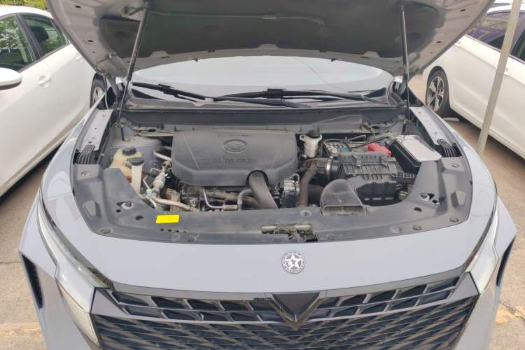 Used Venucia V 2021 260T Idol Edition Engine Bay