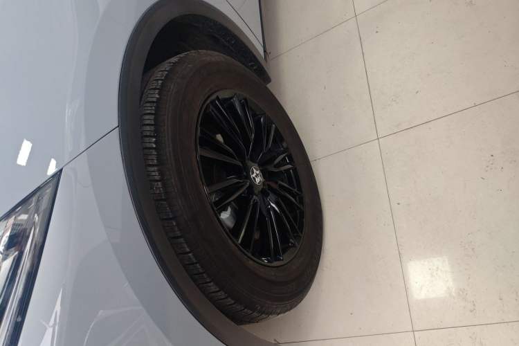 Used Venucia V 2021 260T Idol Edition Exterior 4