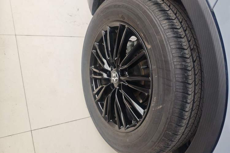 Used Venucia V 2021 260T Idol Edition Exterior 5