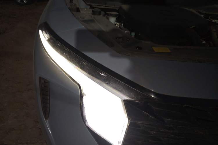 Used Venucia V 2021 260T Tianwang Edition Exterior 6