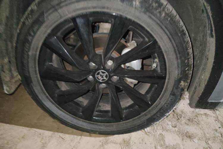 Used Venucia V 2021 260T Tianwang Edition Exterior 7