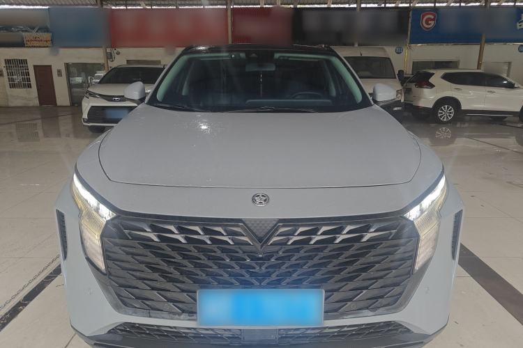Used Venucia V 2021 260T Tianwang Edition Front