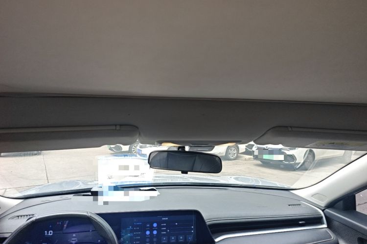 Used Venucia V 2021 260T Tianwang Edition Headliner