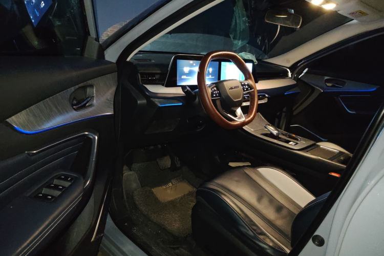 Used Venucia V 2021 260T Tianwang Edition Interior 3