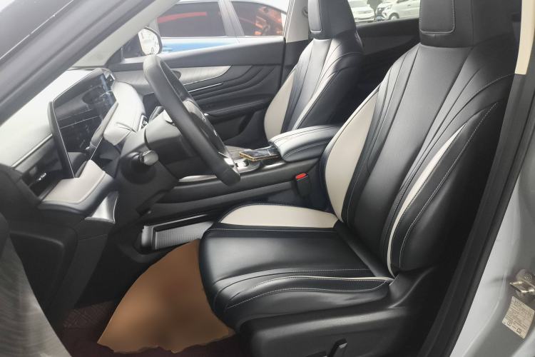 Used Venucia V 2021 260T Tianwang Edition Left Front Seat