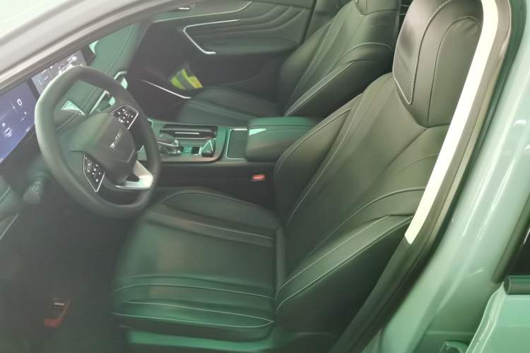 Used Venucia V 2021 260T Tianwang Edition Left Front Seat