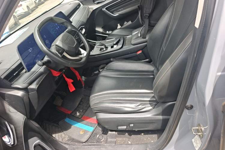 Used Venucia V 2021 260T Tianwang Edition Left Front Seat
