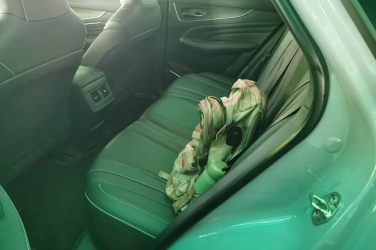 Used Venucia V 2021 260T Tianwang Edition Left Rear Seat
