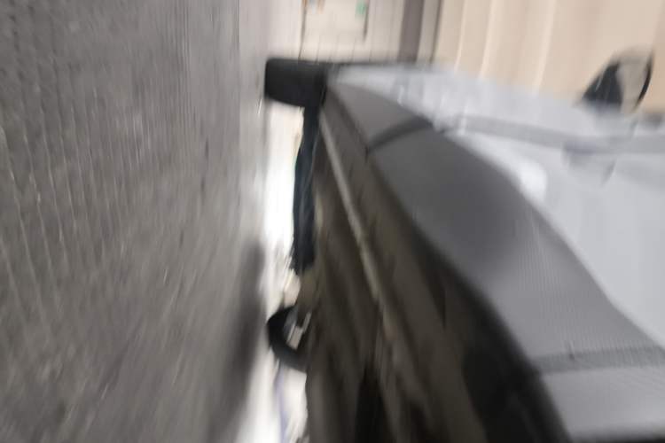 Used Venucia V 2021 260T Tianwang Edition Left Side Sill