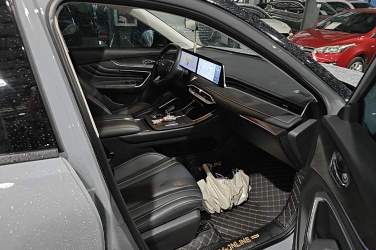 Used Venucia V 2021 260T Tianwang Edition Right Front Seat