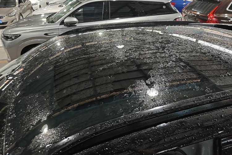 Used Venucia V 2021 260T Tianwang Edition Roof