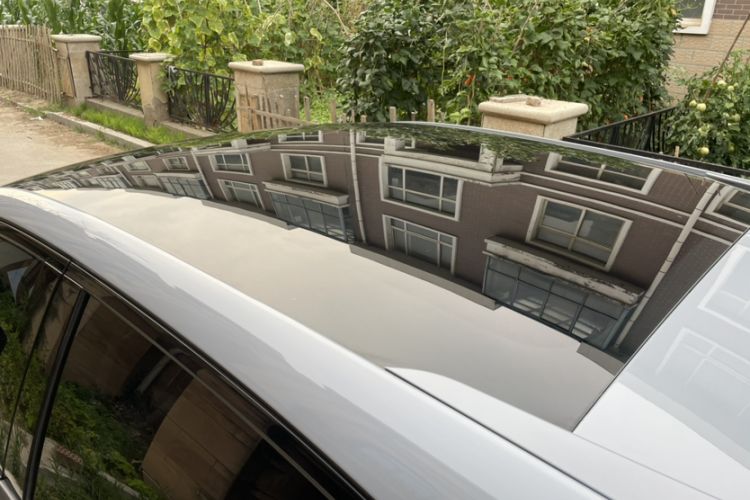 Used Venucia V 2021 260T Idol Edition Roof