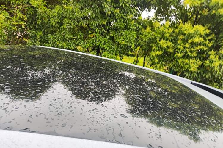 Used Venucia V 2021 260T Idol Edition Roof