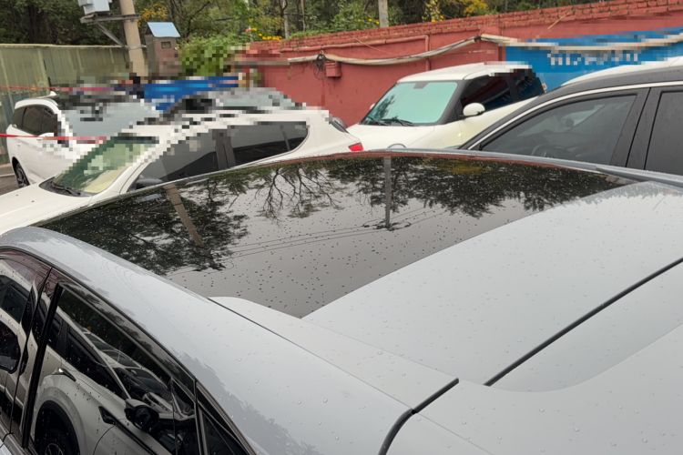 Used Venucia V 2021 260T Idol Edition Roof