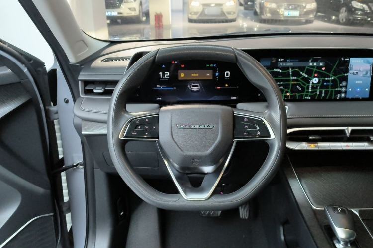 Used Venucia V 2021 260T Idol Edition Steering Wheel